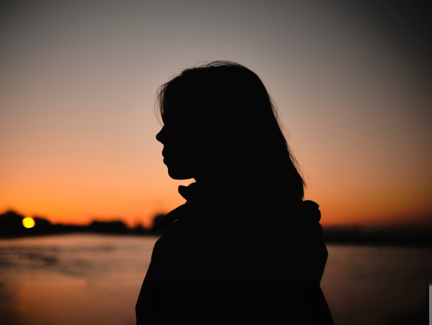 mental health for legal professionals:lawyer_silhouette_sunset A silhouette of a lawyer looking out at a sunset, conveying a sense of both ambition and introspection.